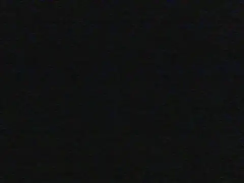 shugabaibe webcam