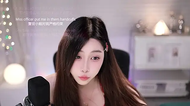 SleepArtist webcam