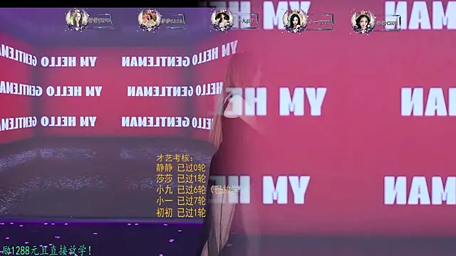 TY-002 webcam