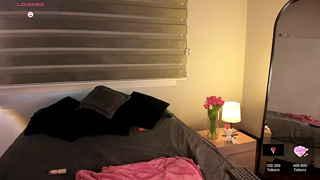 MERIDA_TAYLOR webcam