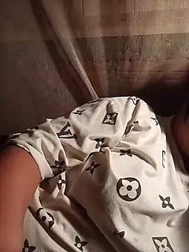 Ip34 webcam