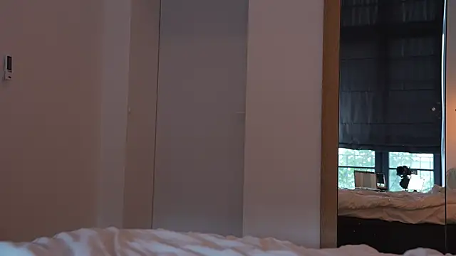 ibiddi webcam