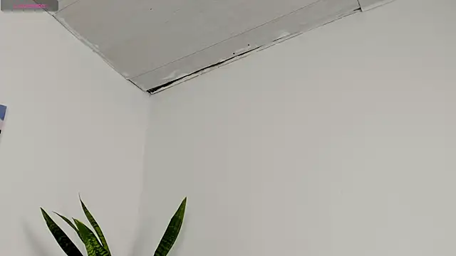 Sophia_Ebony webcam