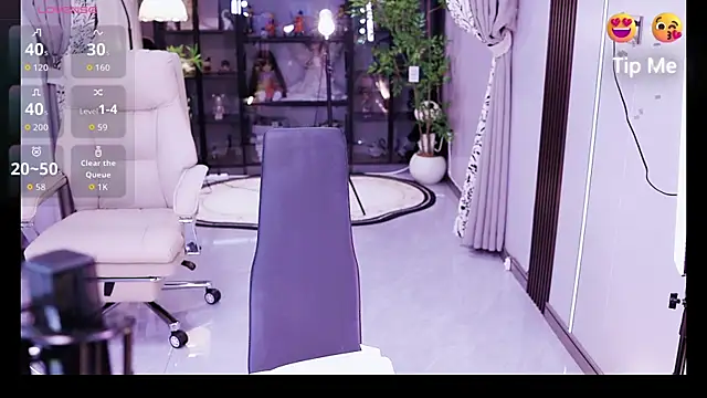 Liora- webcam