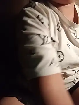 Ip34 webcam