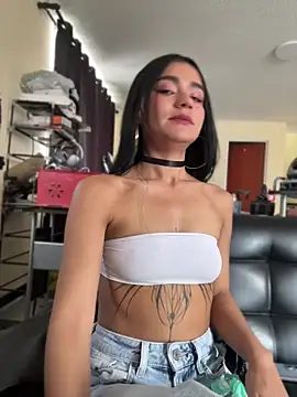 Dakota-fire webcam