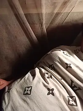 Ip34 webcam
