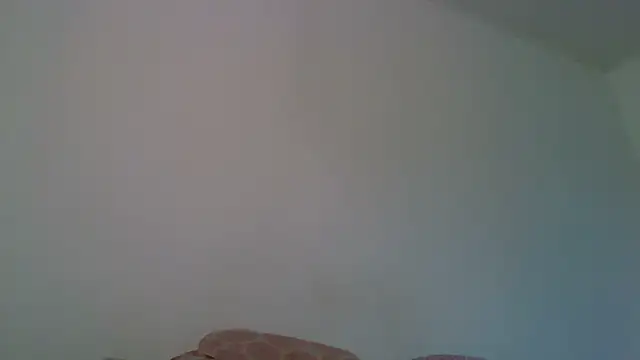 Kaappi1967 webcam