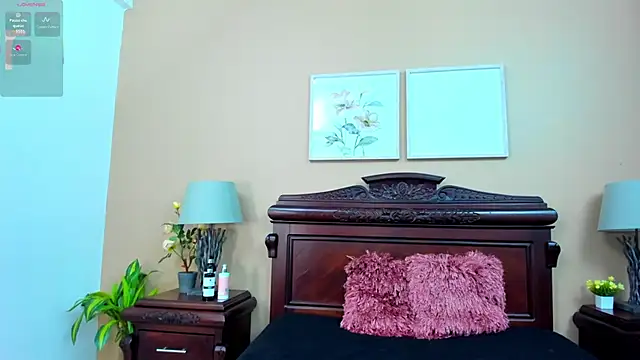 AriSweet webcam
