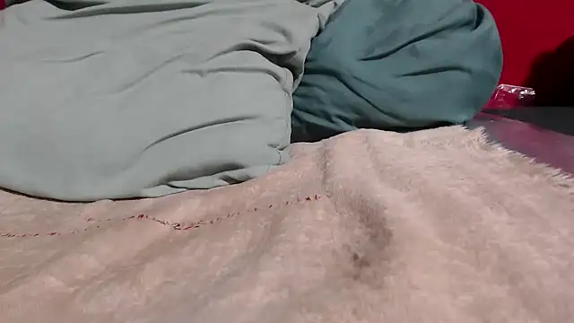 Bracylia webcam