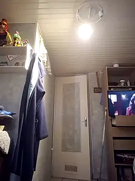 polenvi webcam
