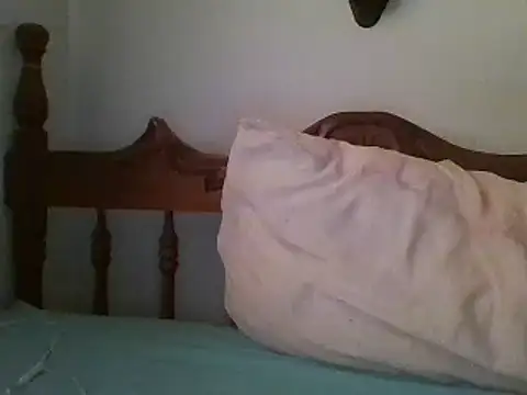 bbccol1 webcam