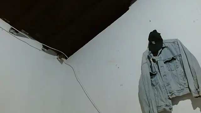 sk8-sir webcam