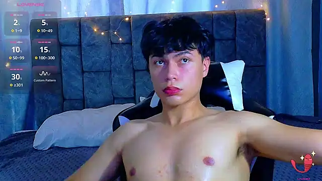 Dantekent webcam