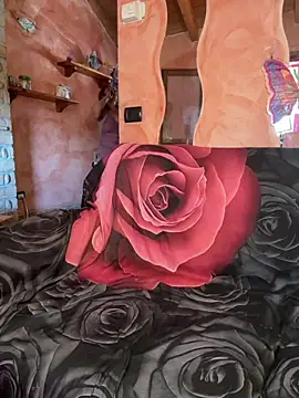 Sunbelxx webcam