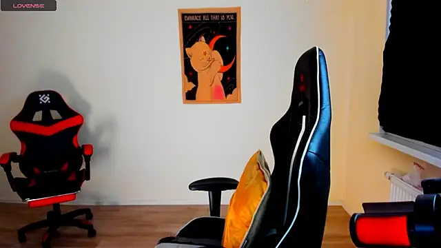 your_tora webcam