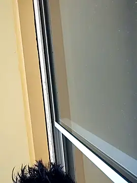 poissinet2 webcam