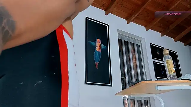 SilvaBranko webcam