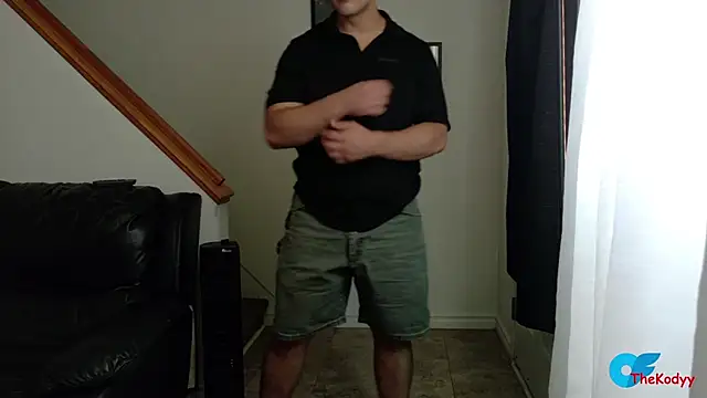 Thekodyy webcam