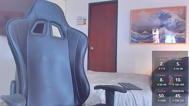 RJBarto webcam