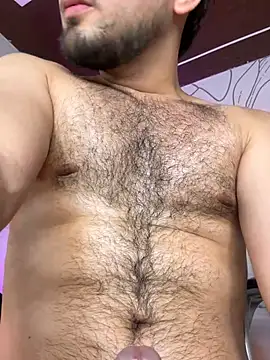Samir_bear webcam