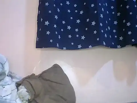 monlight_ webcam