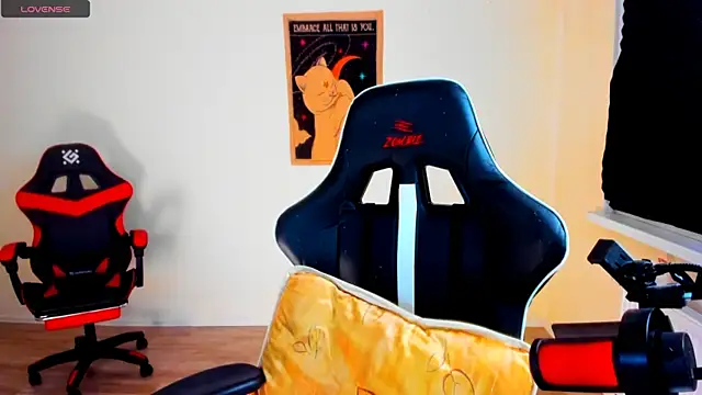 your_tora webcam
