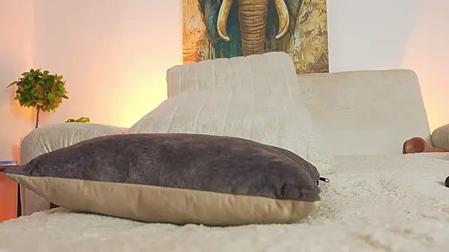 AliceCorner webcam