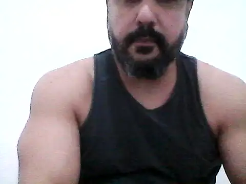 stallony webcam