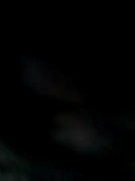 BIG_CHAHAT_1 webcam