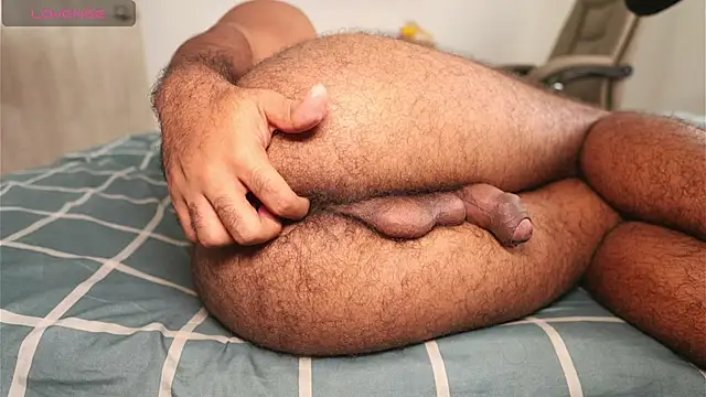 Little_Bear00