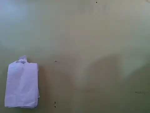 teticalinte webcam