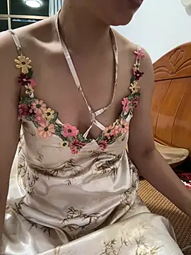 cmvoo webcam