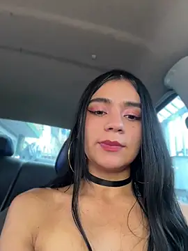 Dakota-fire webcam