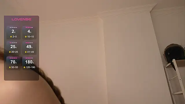 Vegas_V webcam