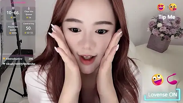 Amireux-8 webcam
