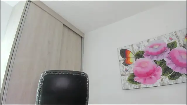 barbie_ds webcam