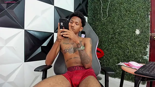 ManSant webcam