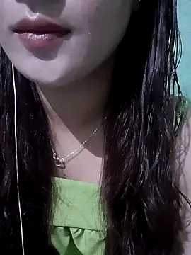 Linksys_nicee webcam