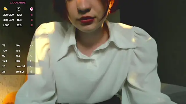EvonDales webcam
