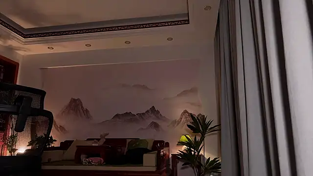 meowLili webcam