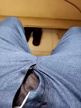 rentalboy29
