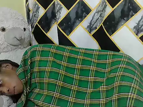 webcam online Lilmomaa