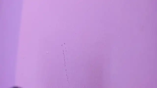cam chat porn Camila Scoth