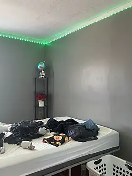 Festivitiesking1 webcam