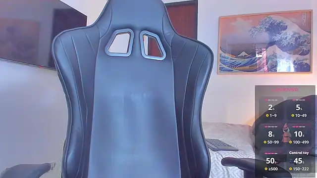 RJBarto webcam
