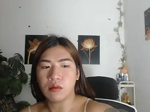 MaterialDuoTransxxx webcam