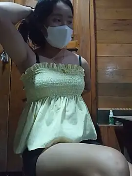 Td3di webcam