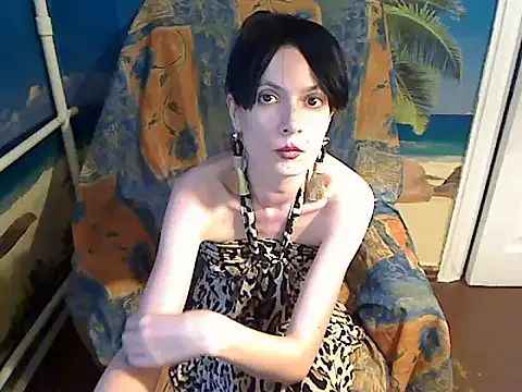 Bastet12 webcam