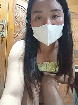 Td3di webcam